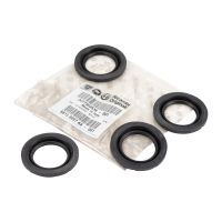 Federnsatz für die Bremszange vorne