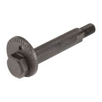 Exzenterschraube Querlenker vorne unten