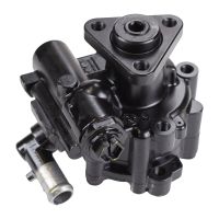 Servolenkungspumpe 80 bar