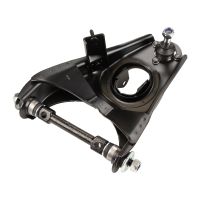 Dreieckslenker unten rechts mit Traggelenk