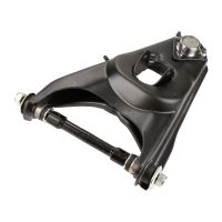 Dreieckslenker unten links mit Traggelenk