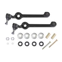 Schwingarmsatz rechts und links