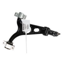 Dreieckslenker vorne links unten