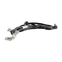 Schwingarm vorn rechts