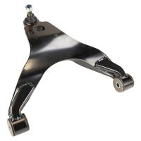 Querlenker vorne unten