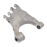 Schwingarm hinten links