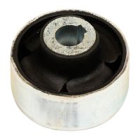 Siltentbuche für Querlenker Vorderachse