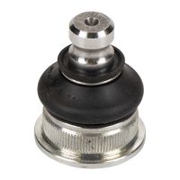 Trag- / Führungsgelenk