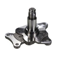 Achsschenkel hinten links