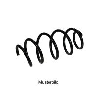 Schraubenfeder hinten L=46 cm