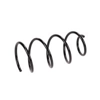 Fahrwerksfeder hinten