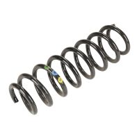 Fahrwerksfeder hinten