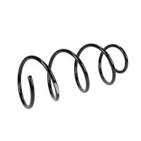 Fahrwerksfeder vorne