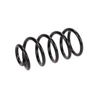 Fahrwerksfeder hinten