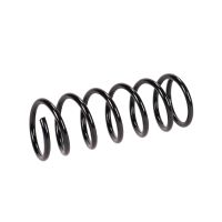 Fahrwerksfeder hinten