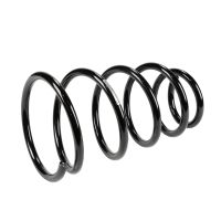 Fahrwerksfeder vorne