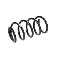 Fahrwerksfeder hinten