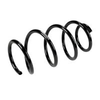 Fahrwerksfeder vorne