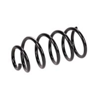 Fahrwerksfeder hinten