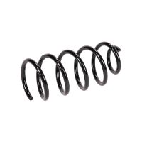 Fahrwerksfeder hinten