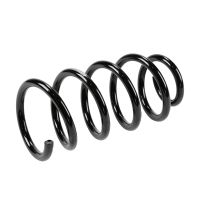 Fahrwerksfeder hinten