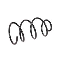 Fahrwerksfeder vorne