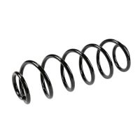 Fahrwerksfeder hinten