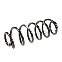 Fahrwerksfeder hinten