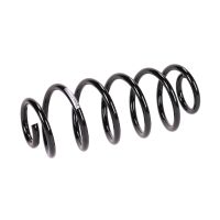 Fahrwerksfeder hinten