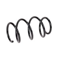 Fahrwerksfeder vorne