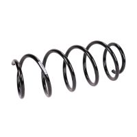 Fahrwerksfeder vorne