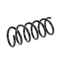 Fahrwerksfeder hinten