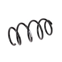 Fahrwerksfeder vorne