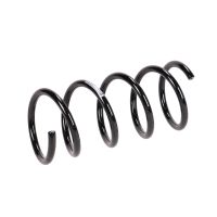 Fahrwerksfeder hinten