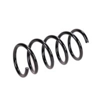 Fahrwerksfeder hinten