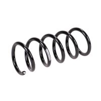 Fahrwerksfeder hinten