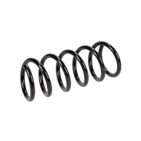 Fahrwerksfeder hinten