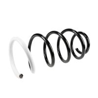 Fahrwerksfeder vorne