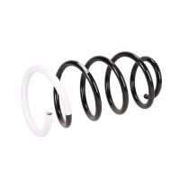 Fahrwerksfeder vorne