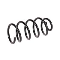 Fahrwerksfeder hinten