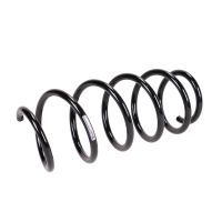 Fahrwerksfeder vorne