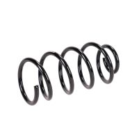 Fahrwerksfeder hinten