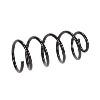 Fahrwerksfeder hinten