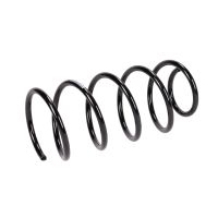 Fahrwerksfeder hinten