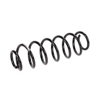 Fahrwerksfeder hinten