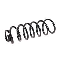 Fahrwerksfeder hinten