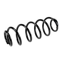 Fahrwerksfeder hinten