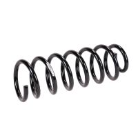 Fahrwerksfeder vorne