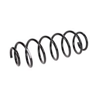 Fahrwerksfeder hinten