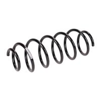 Fahrwerksfeder hinten